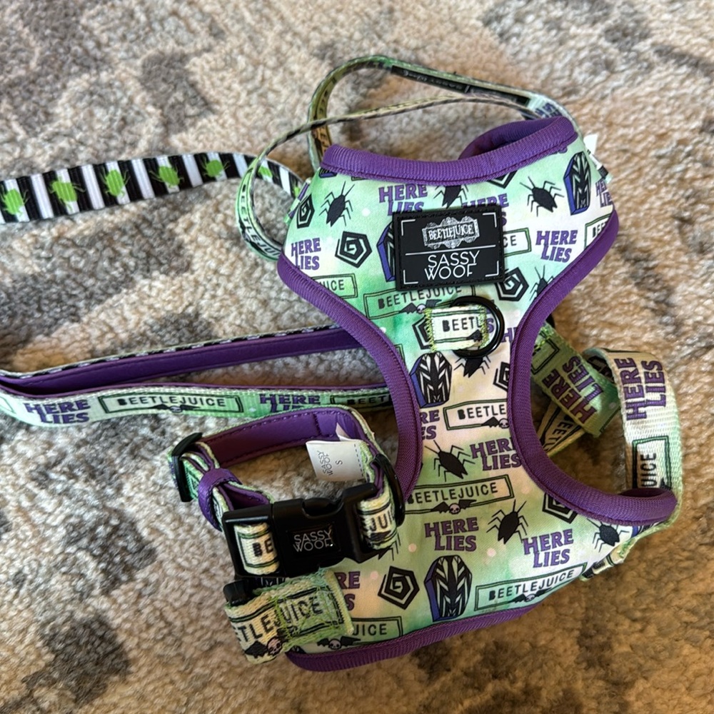 Beetlejuice  sassy woof  Harness and Leash Set